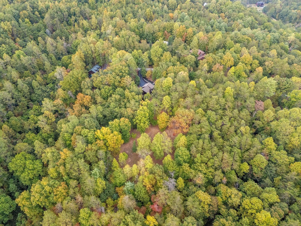 518 Toccoa River Forest