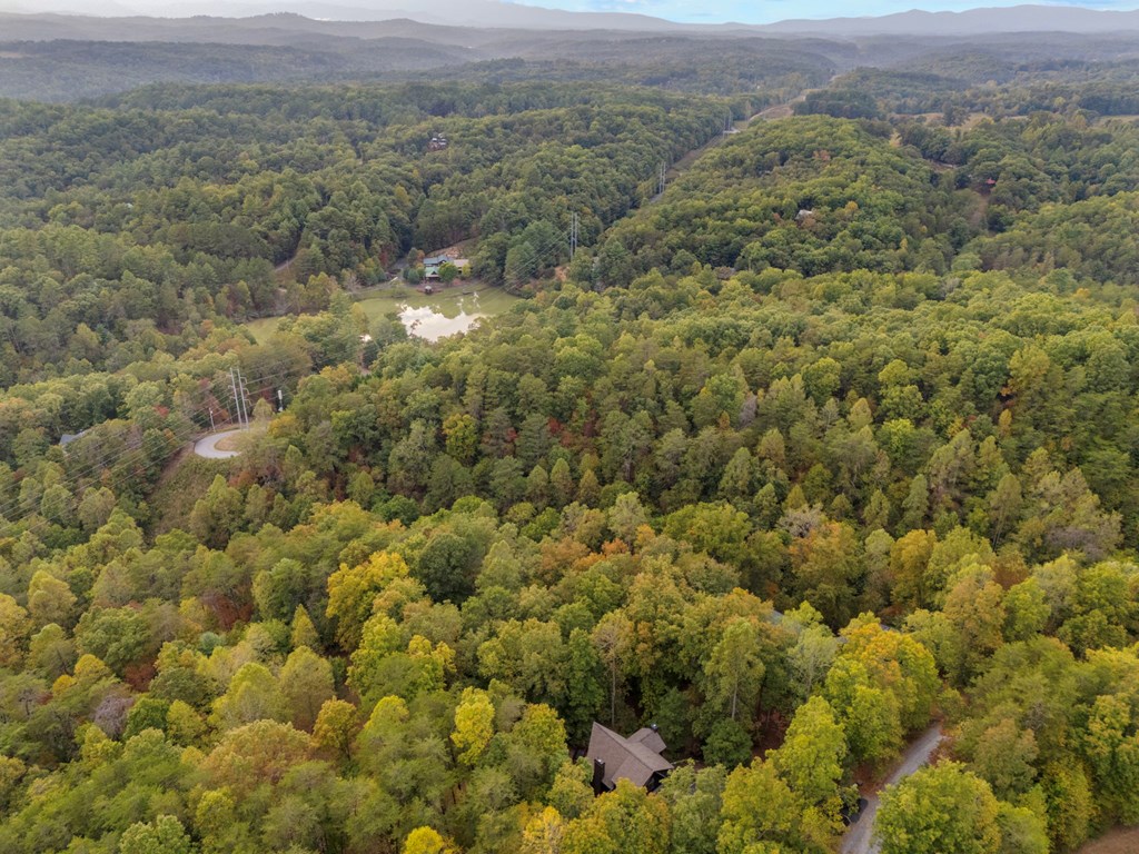 518 Toccoa River Forest