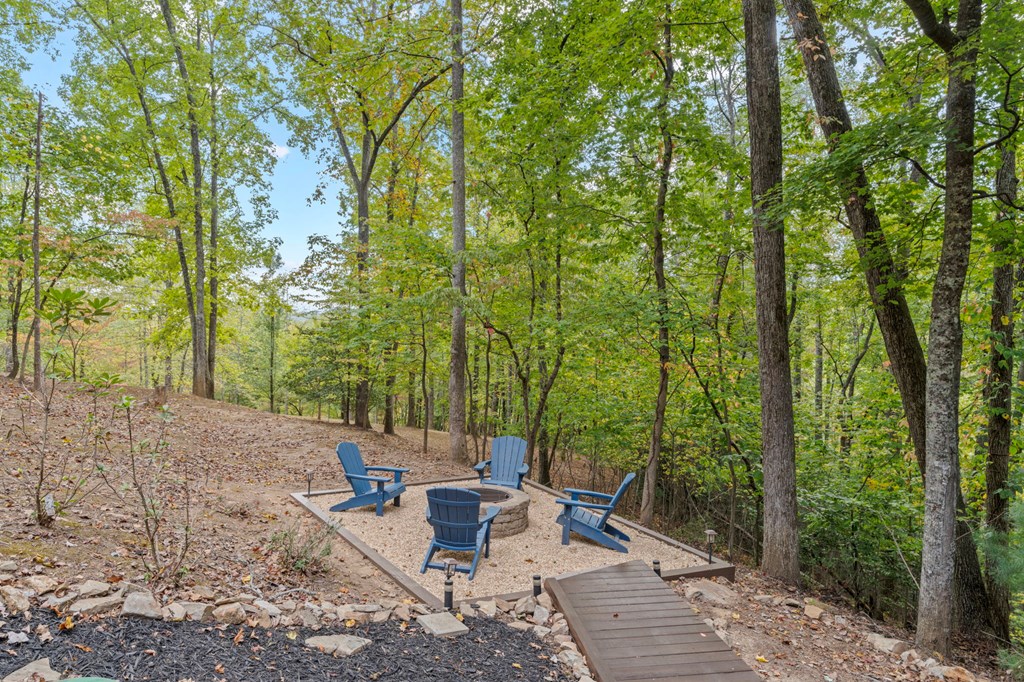 518 Toccoa River Forest