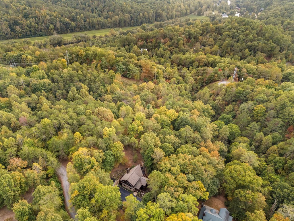 518 Toccoa River Forest