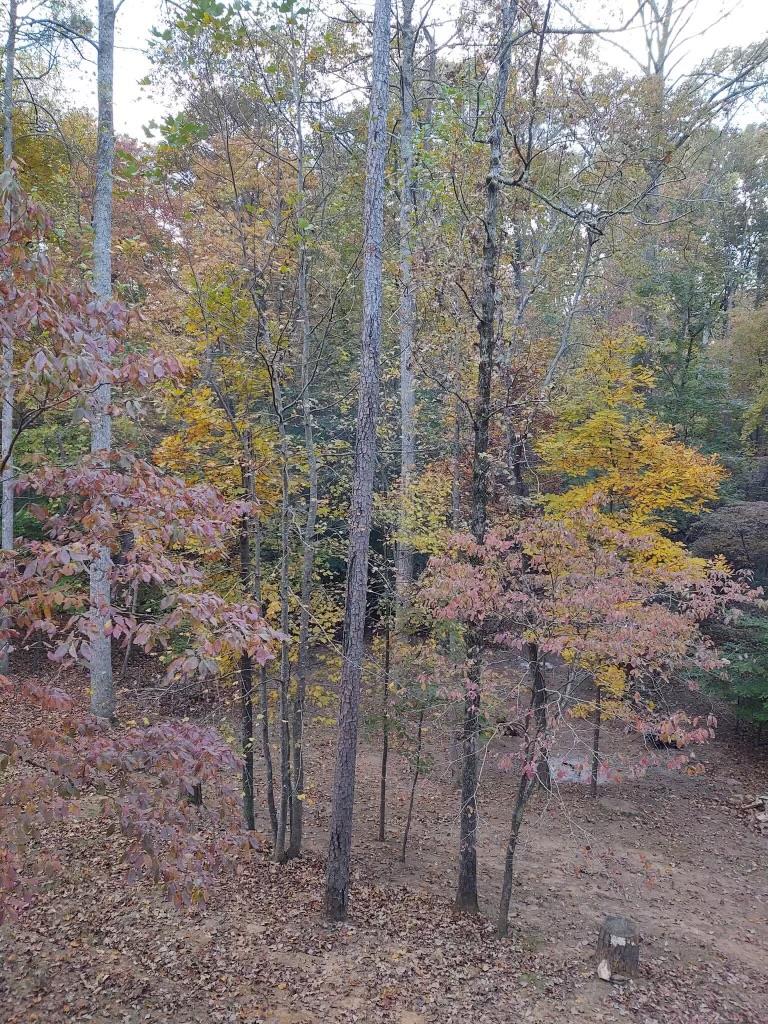 123 Rockingham Way