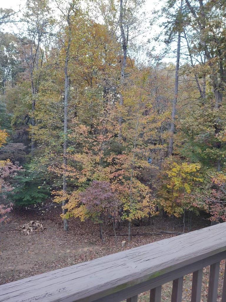 123 Rockingham Way