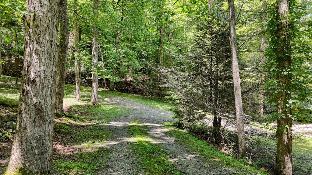 222 Bryant Cove Road