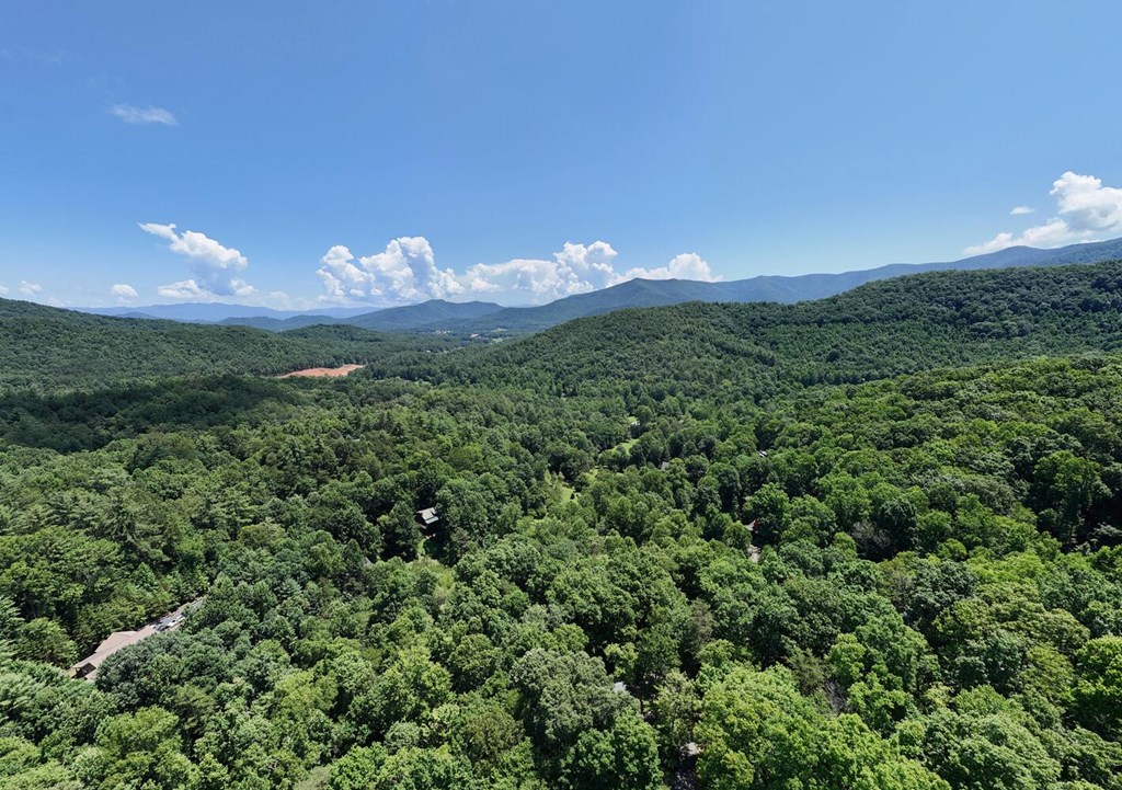 222 Bryant Cove Road