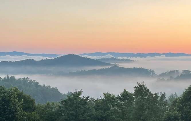 739 Carolina Fox Circle