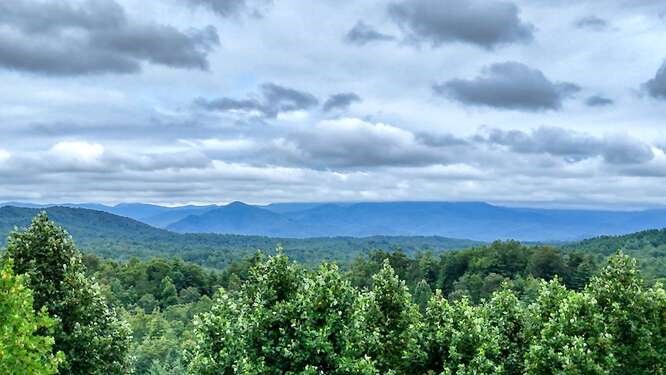 739 Carolina Fox Circle