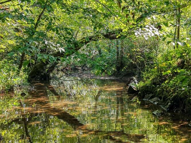 192 Misty Morning Drive