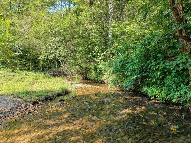 192 Misty Morning Drive