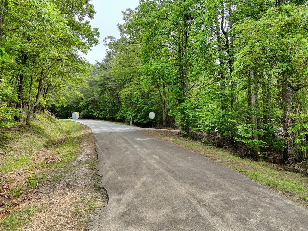 Lot 89 Creek Hollow Lane
