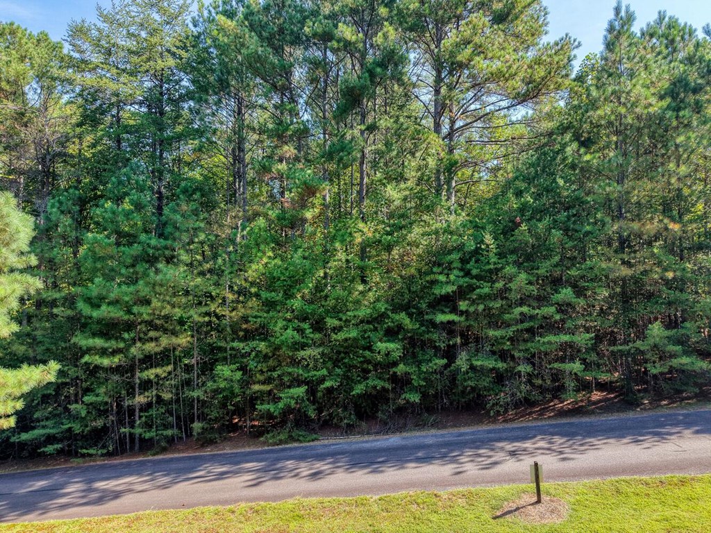 Lot 89 Creek Hollow Lane