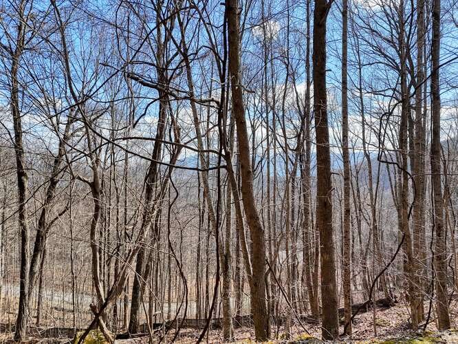 Lot 37 Overlook At Y.H.