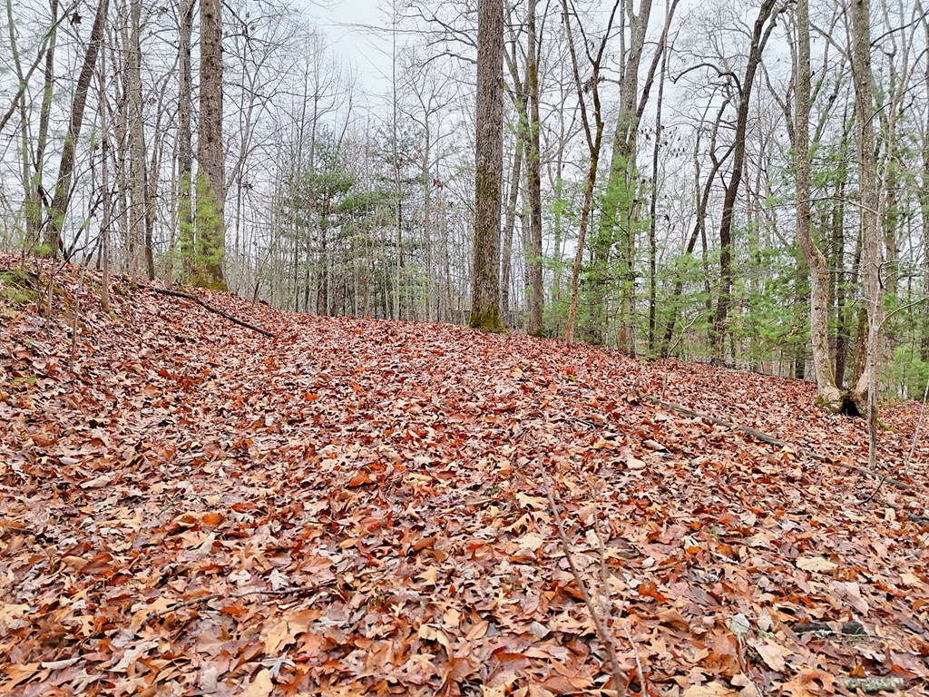 Tract 3 Wilmar Circle