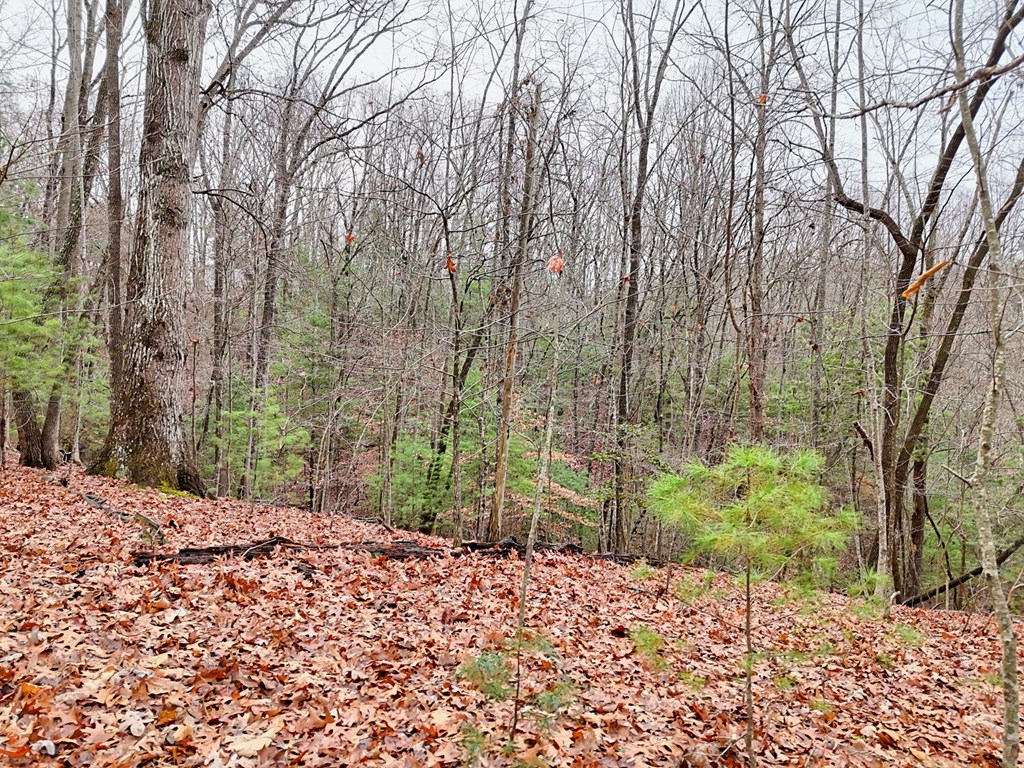 Tract 3 Wilmar Circle