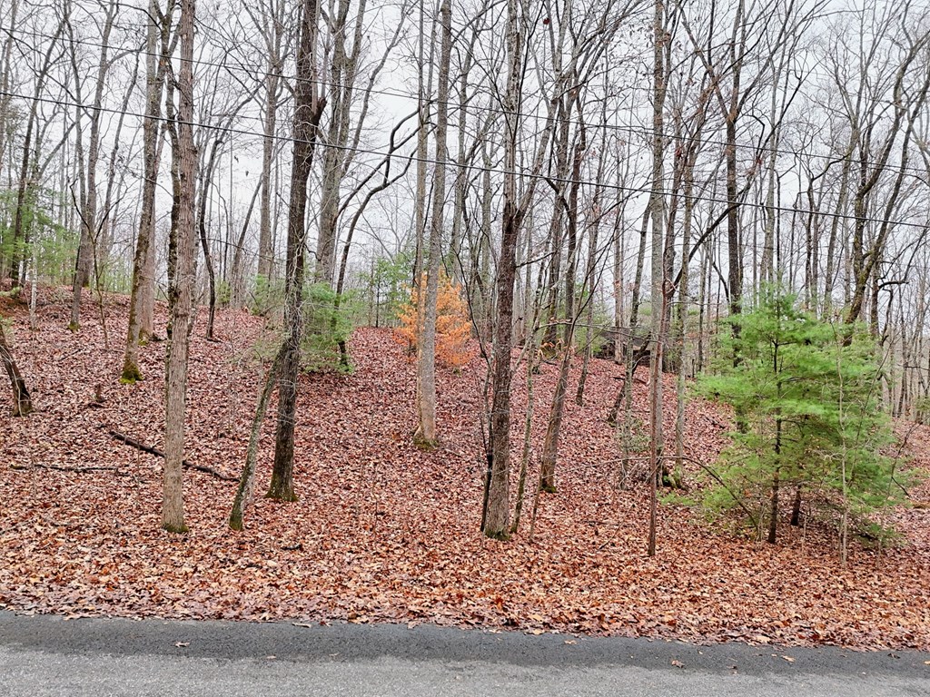 Tract 3 Wilmar Circle