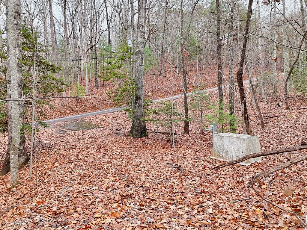 Tract 3 Wilmar Circle