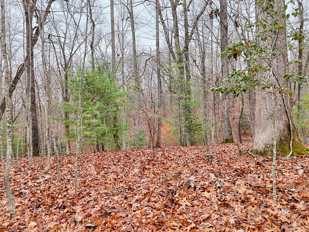 Tract 3 Wilmar Circle