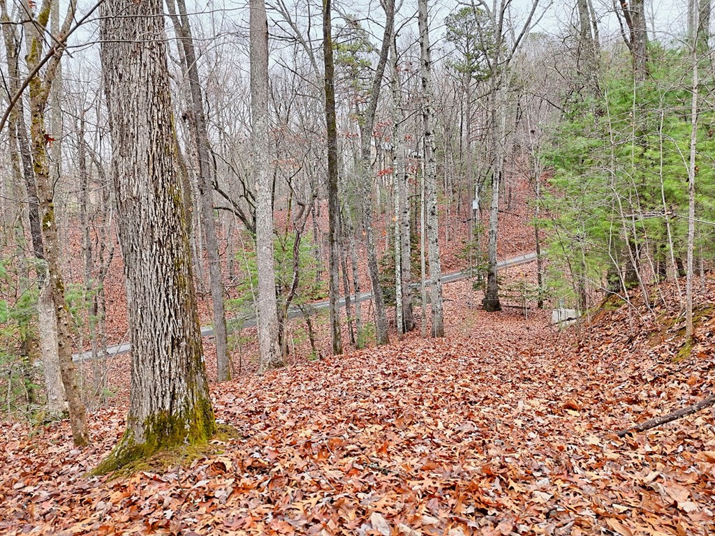 Tract 3 Wilmar Circle