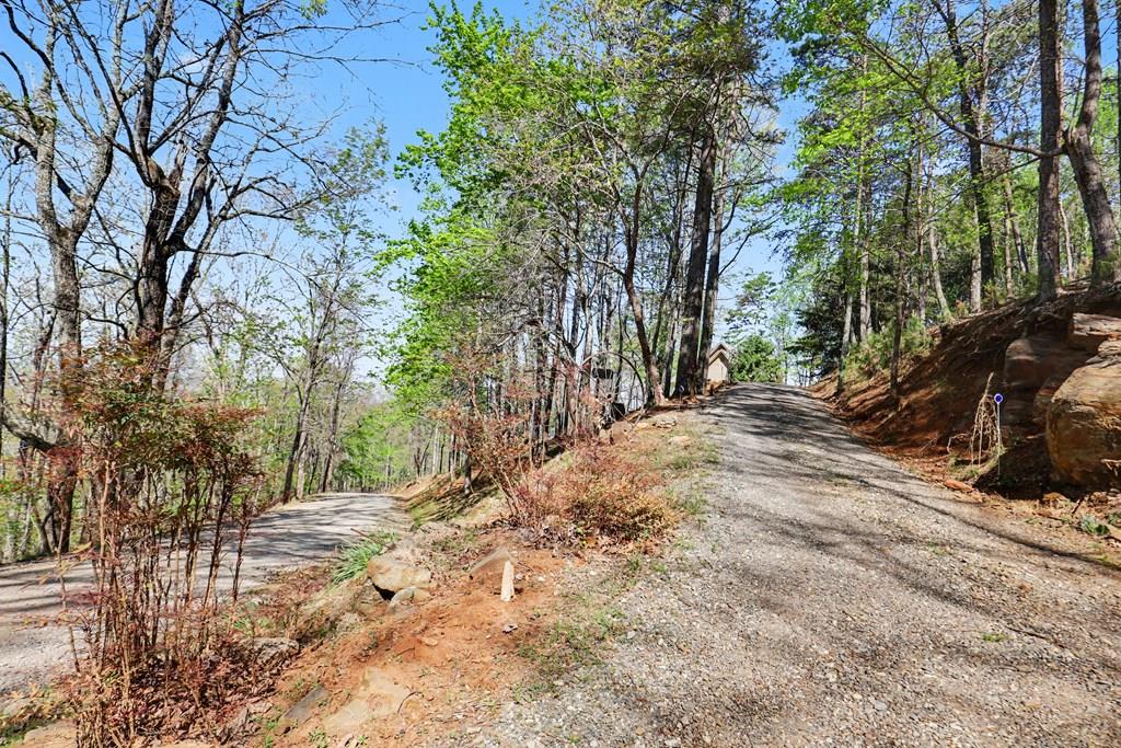 1473 Cherokee Mountain Trail