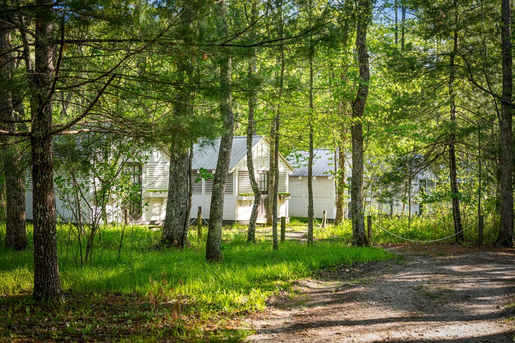 391 Forest Service 117 Road