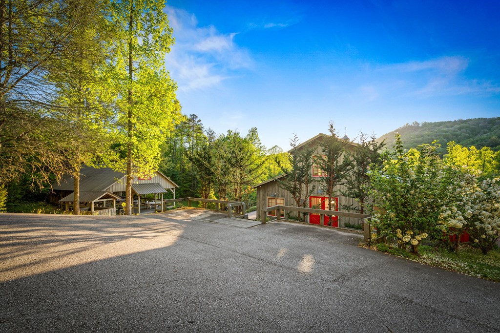 391 Forest Service 117 Road