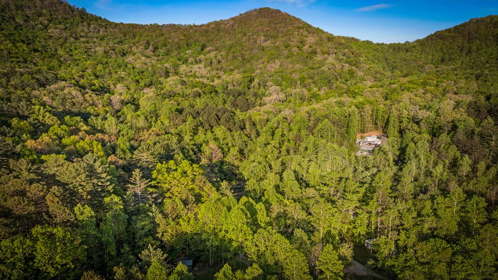 391 Forest Service 117 Road
