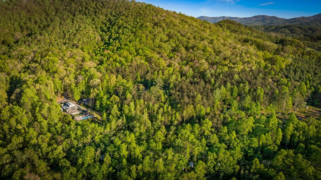 391 Forest Service 117 Road