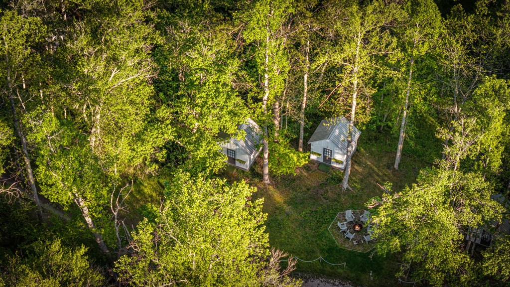 391 Forest Service 117 Road