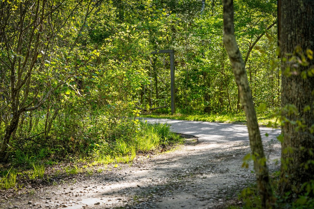 391 Forest Service 117 Road