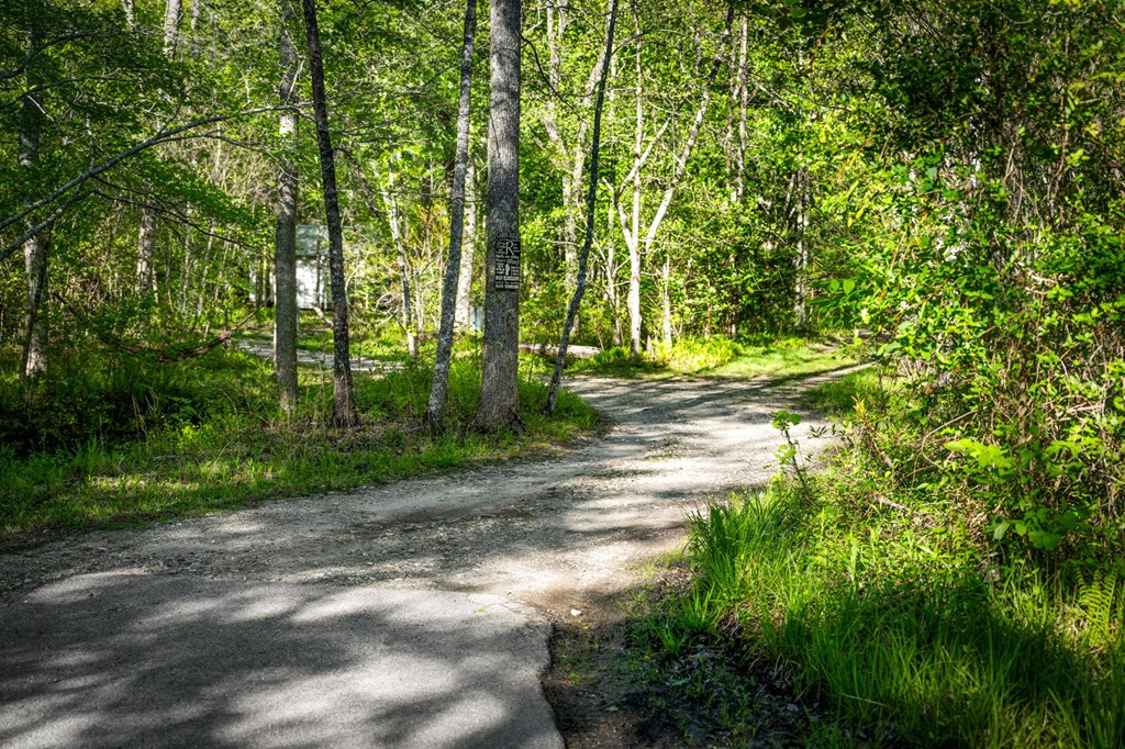 391 Forest Service 117 Road