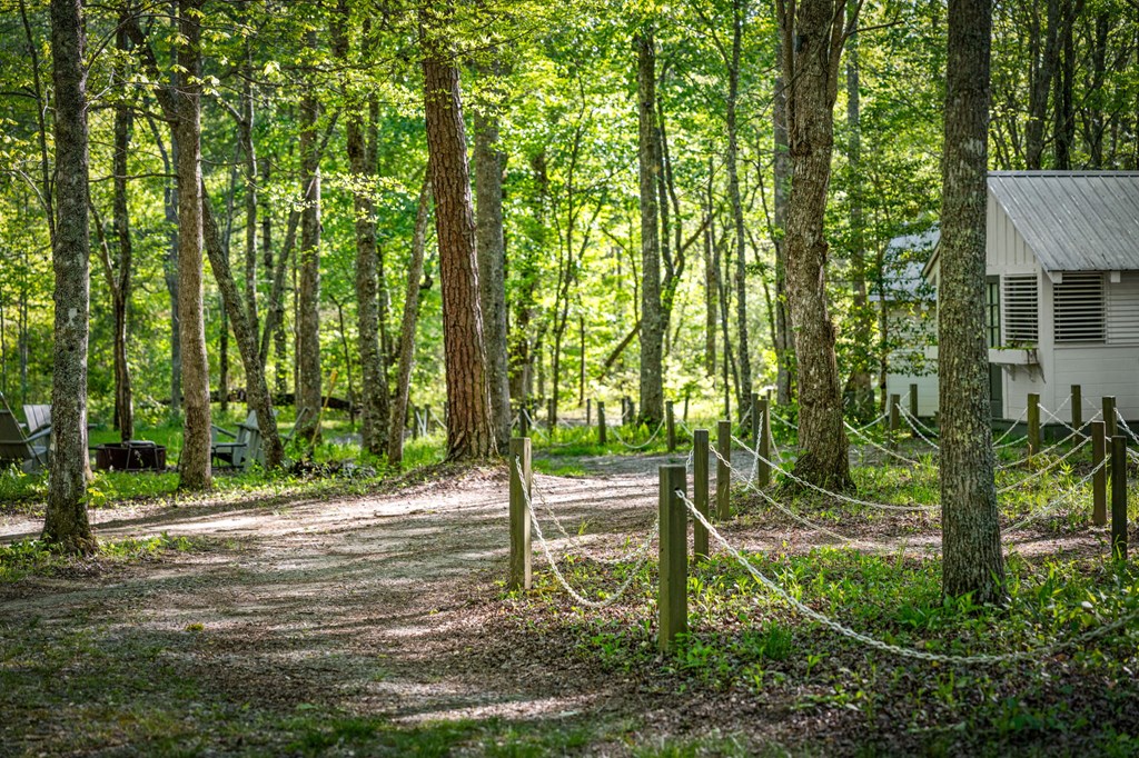 391 Forest Service 117 Road