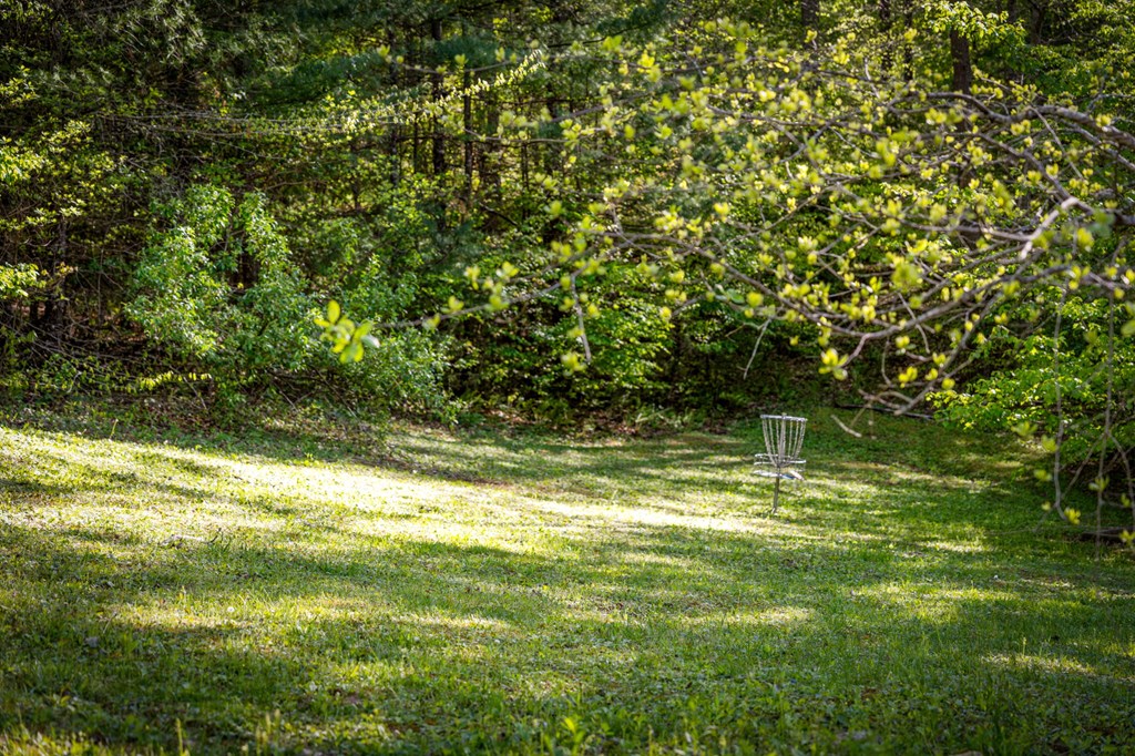 391 Forest Service 117 Road
