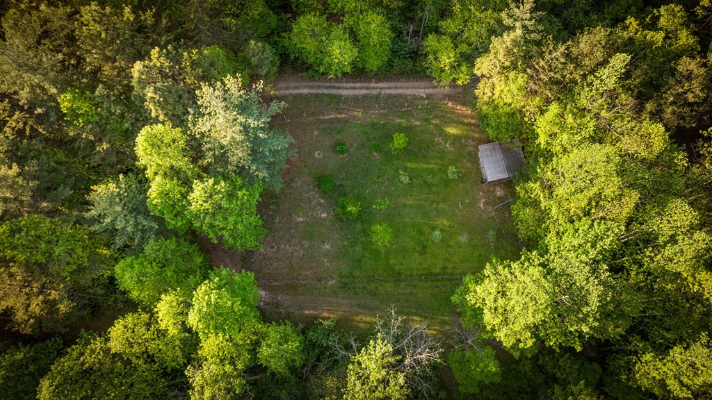 391 Forest Service 117 Road
