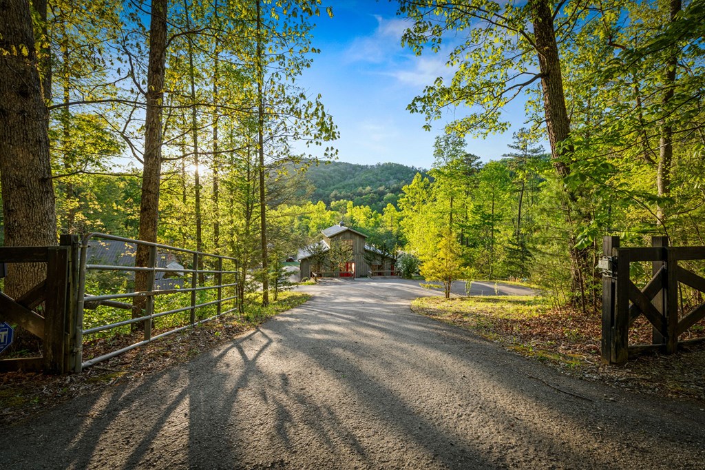 391 Forest Service 117 Road