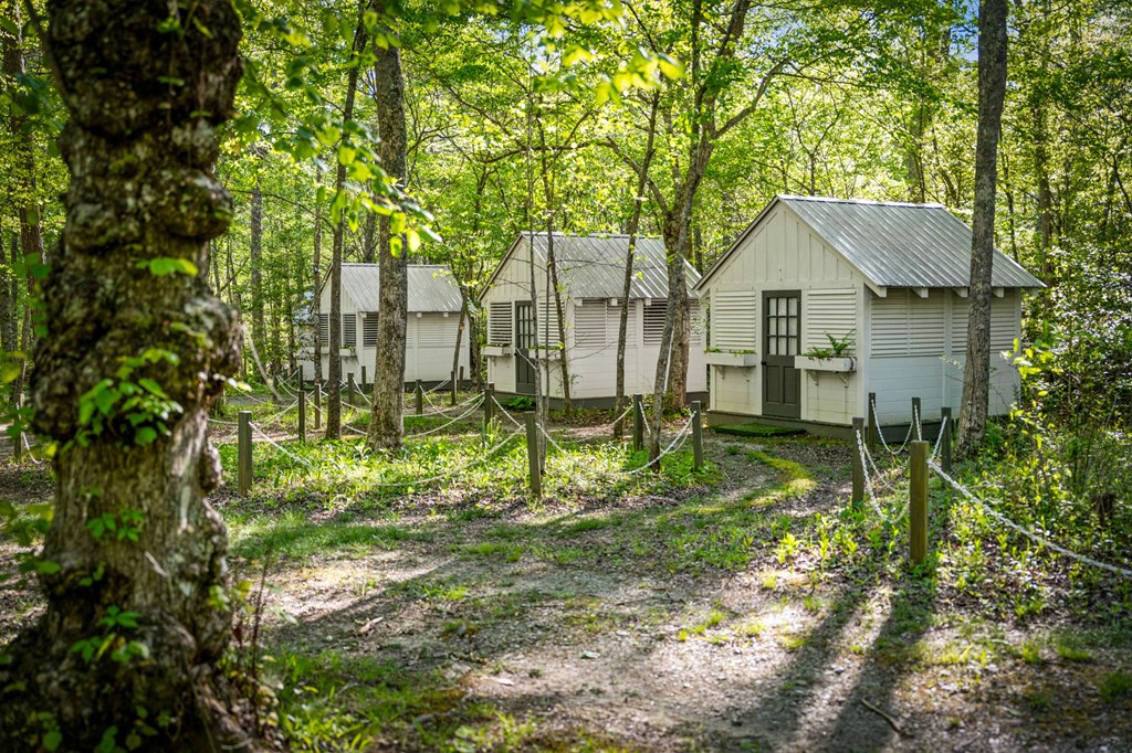 391 Forest Service 117 Road