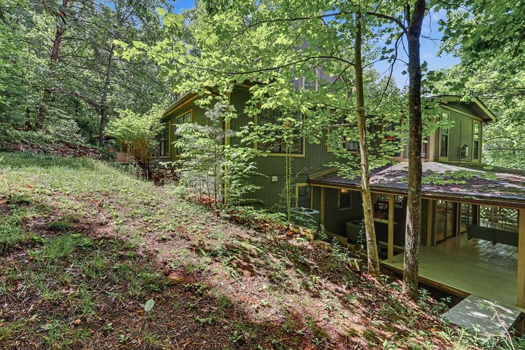 289 Doc Thomas Ridge Road