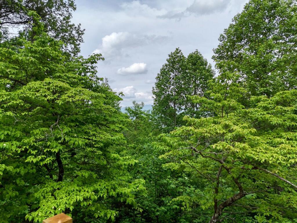 1710 Summit Trail