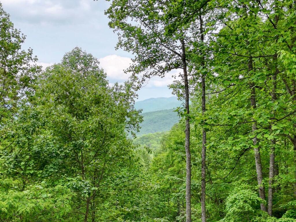 1710 Summit Trail