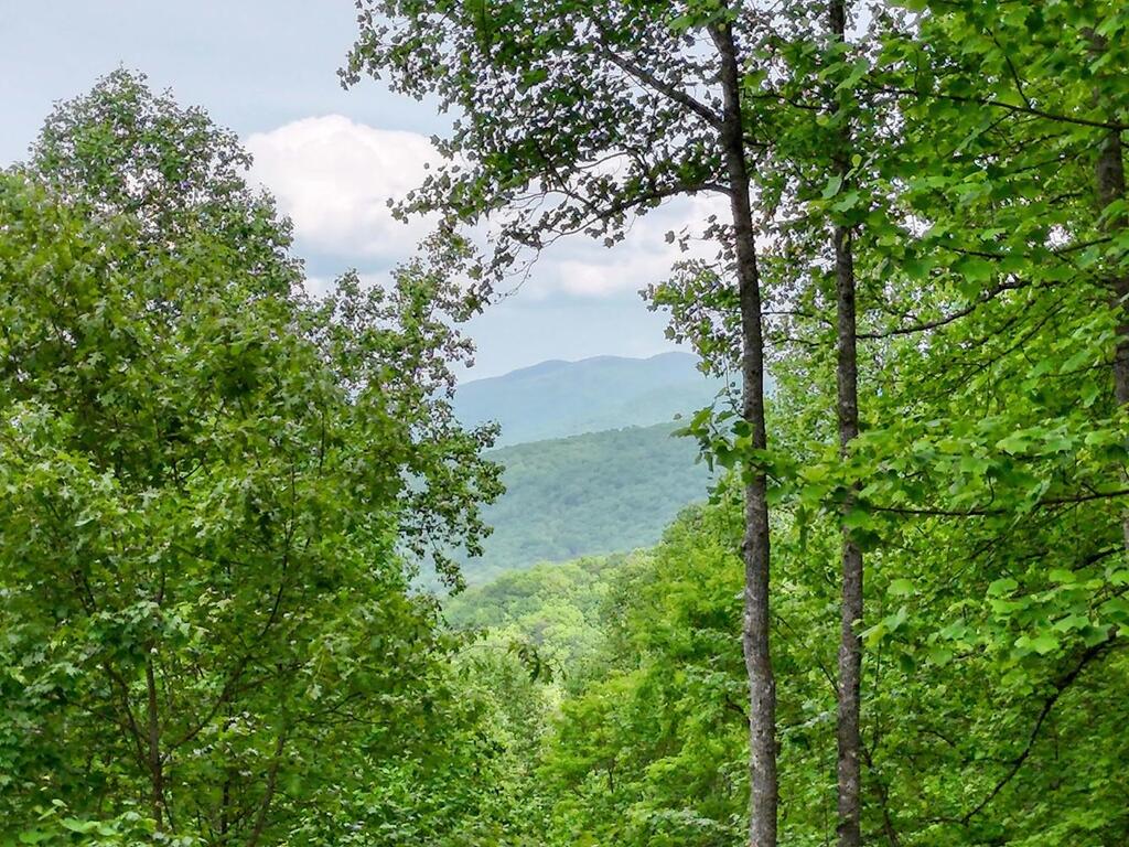 1710 Summit Trail