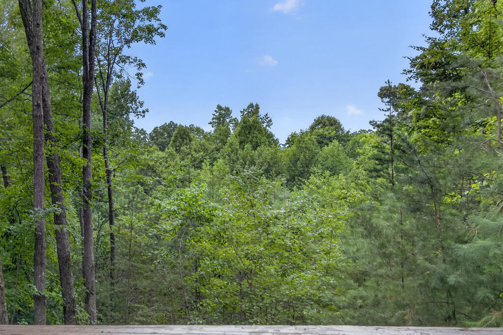 76 Channing Hollow