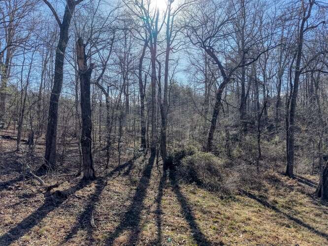 Lot 6, 7 Duncan Mill