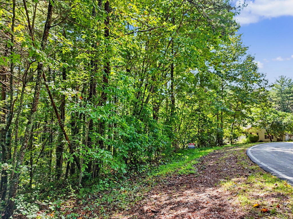Lot 73 Pinecrest