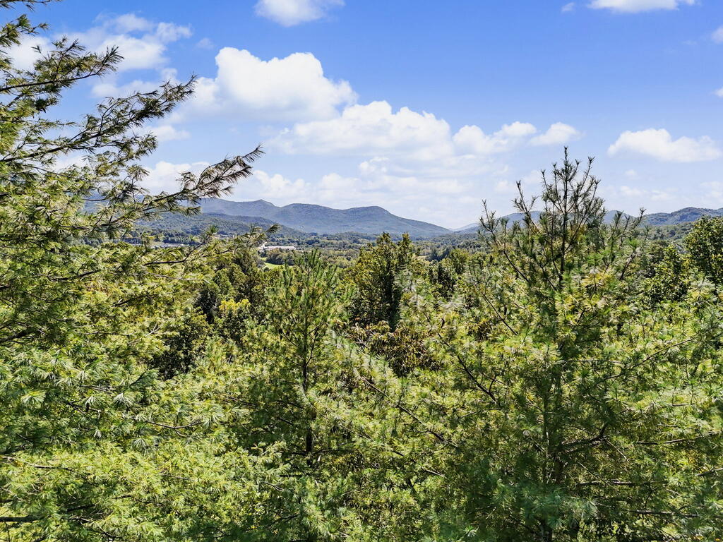 Lot 73 Pinecrest
