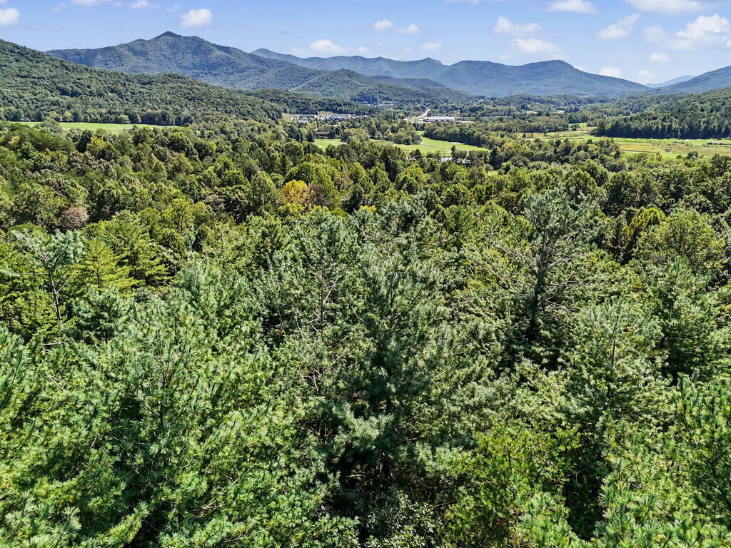 Lot 73 Pinecrest