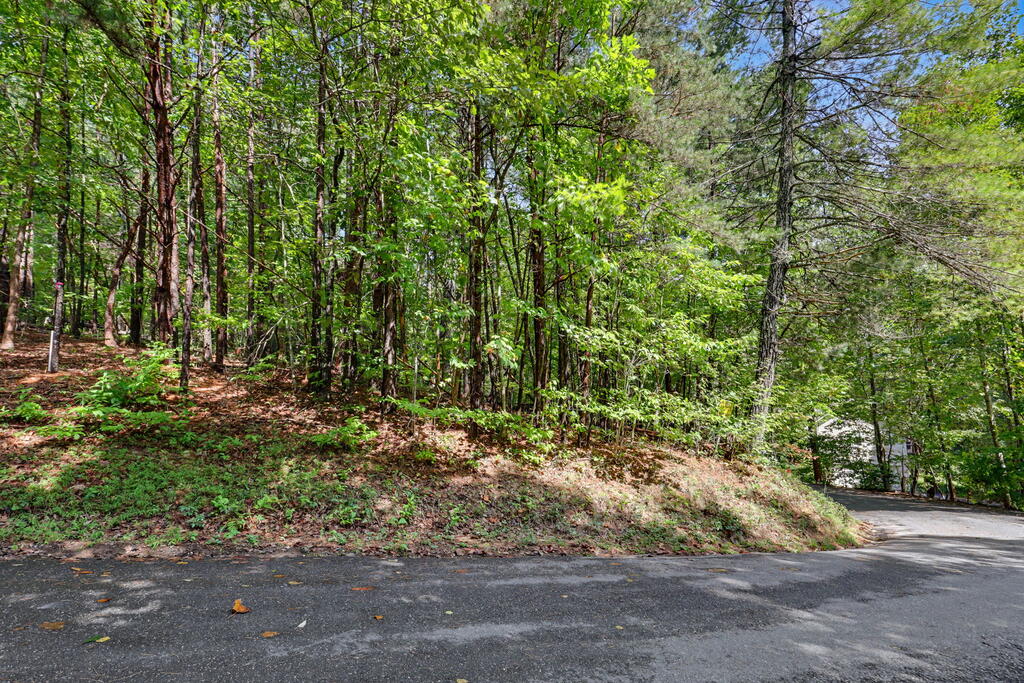 Lot 73 Pinecrest