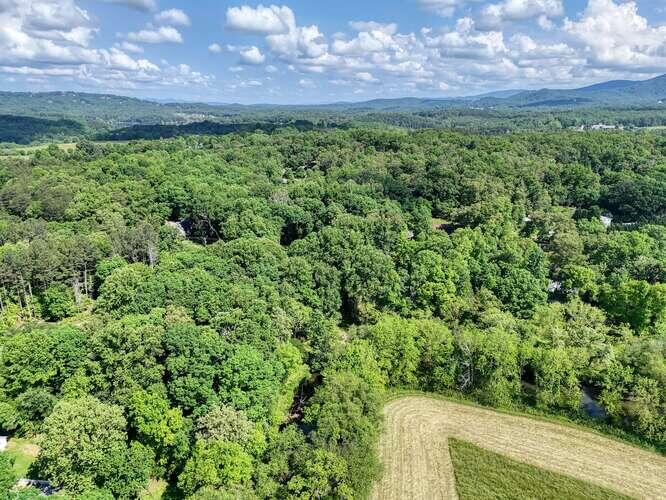 1217 Blue Ridge Hwy