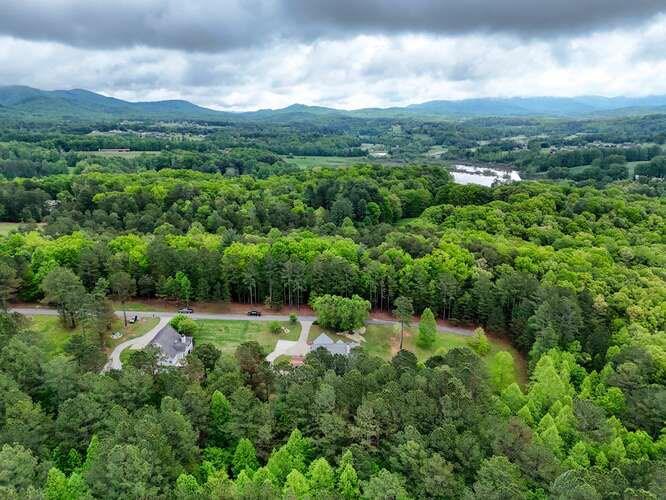 302 Brook Green Court