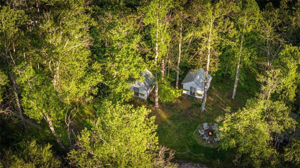 391 Forest Service 117 Road