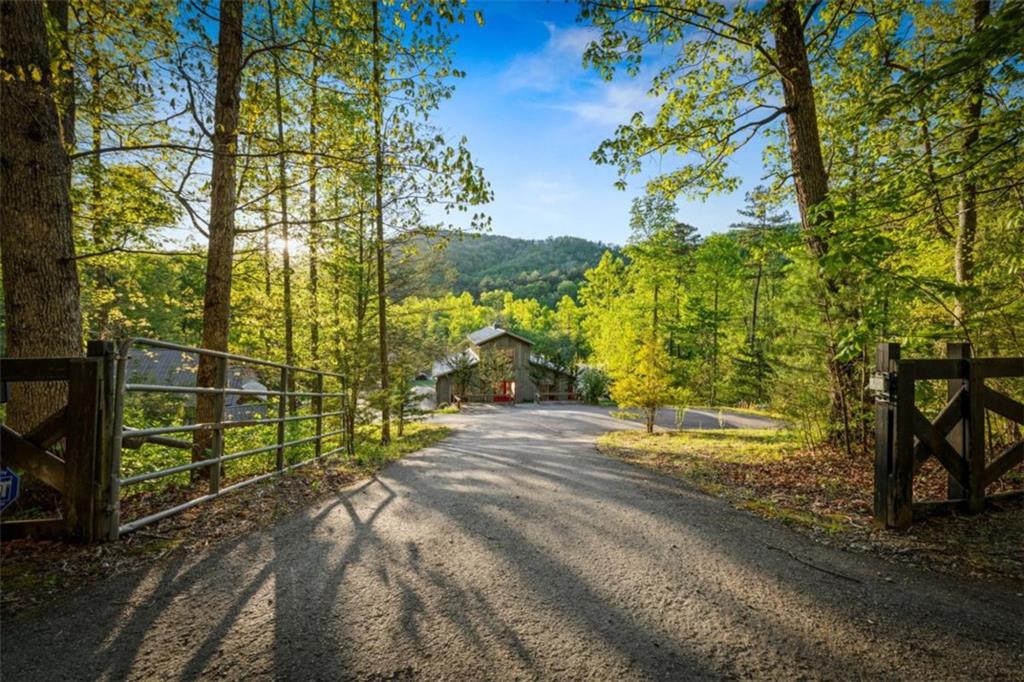 391 Forest Service 117 Road