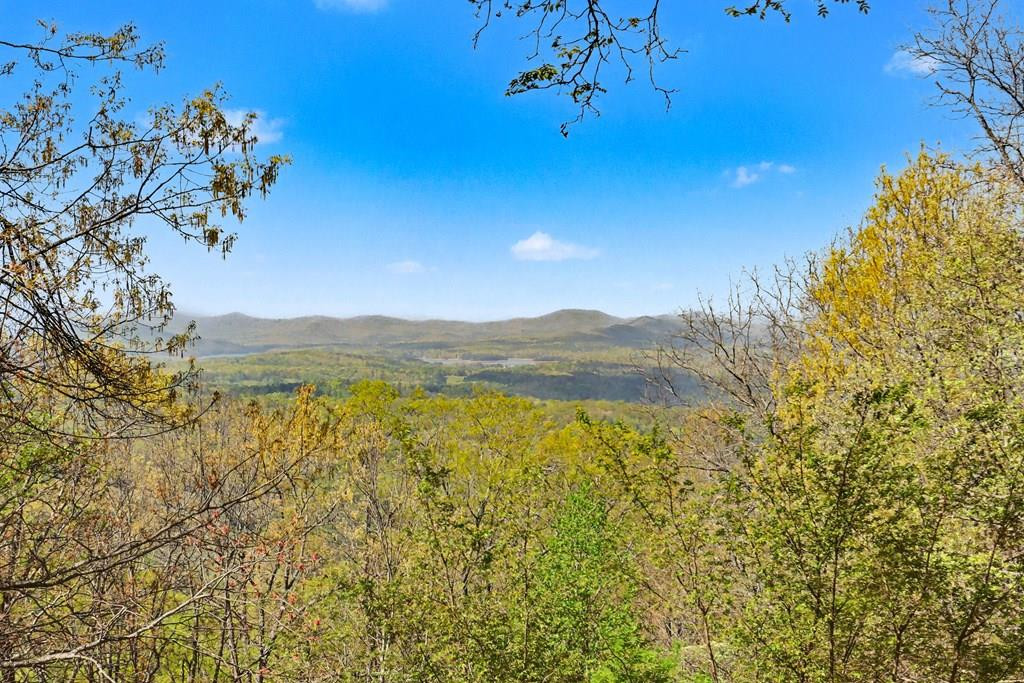 1473 Cherokee Mountain Trail