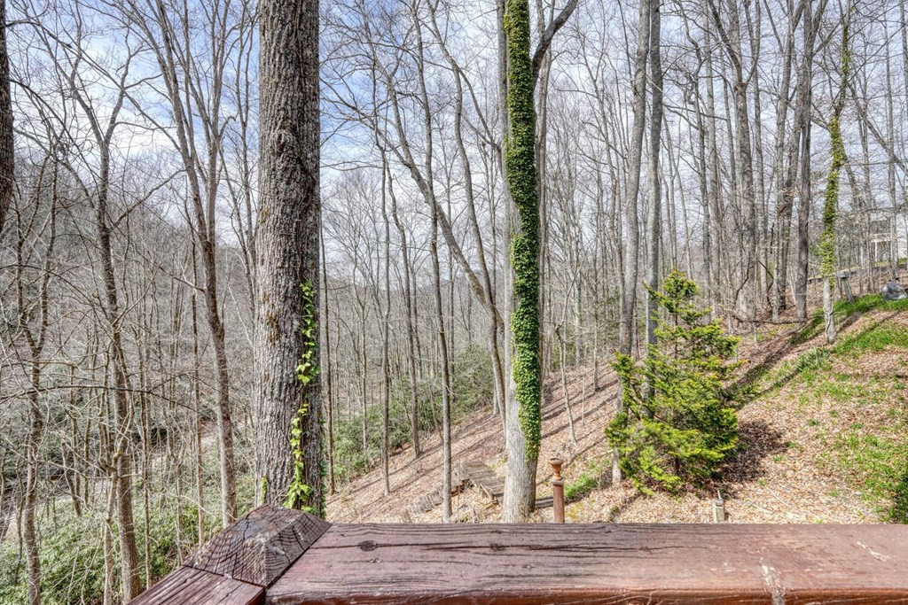 575 Carolina Springs Lane